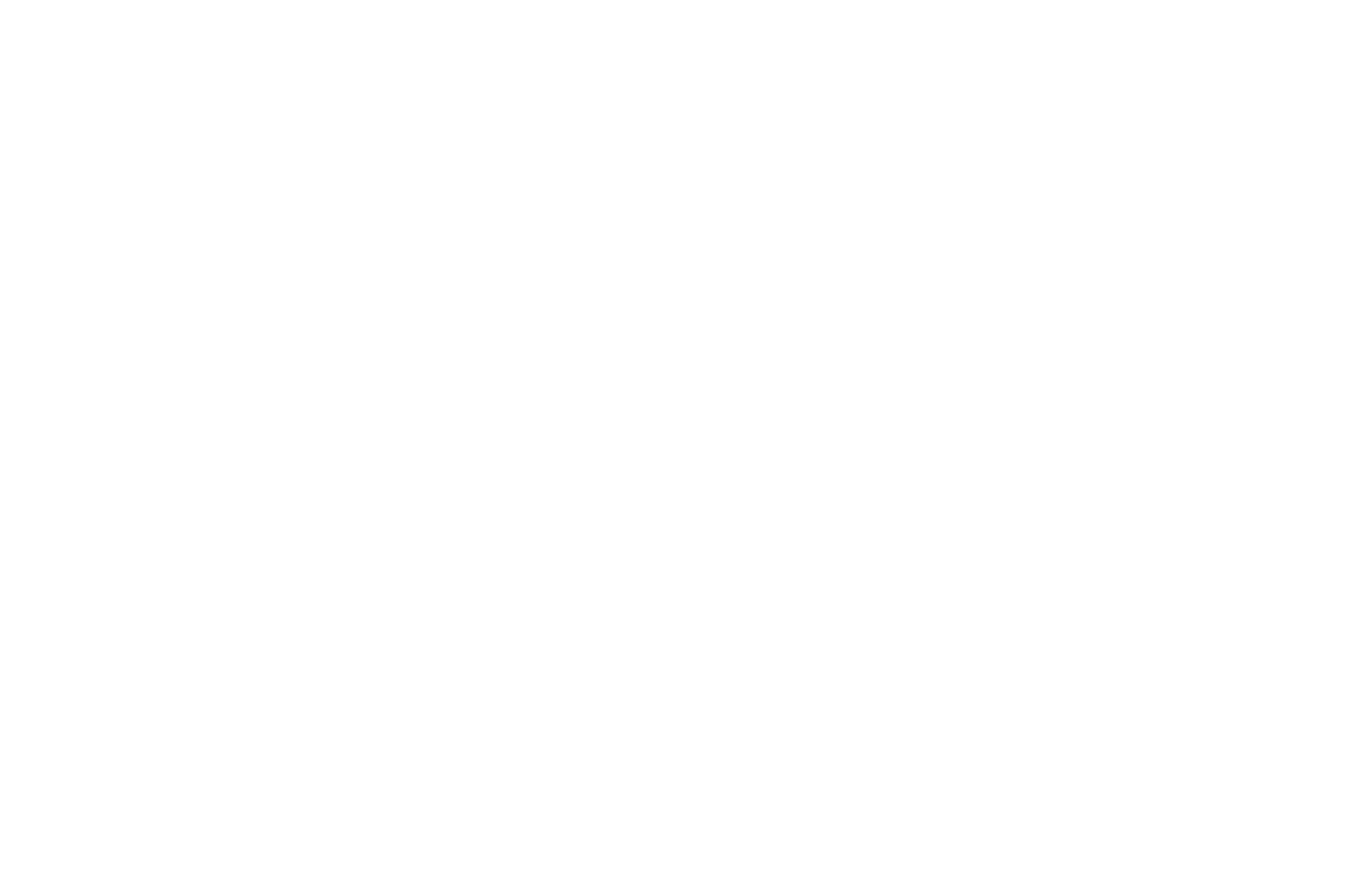 BisonOS
